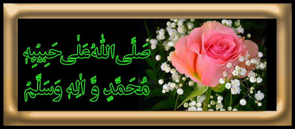 5853049115_1e60175cce_b