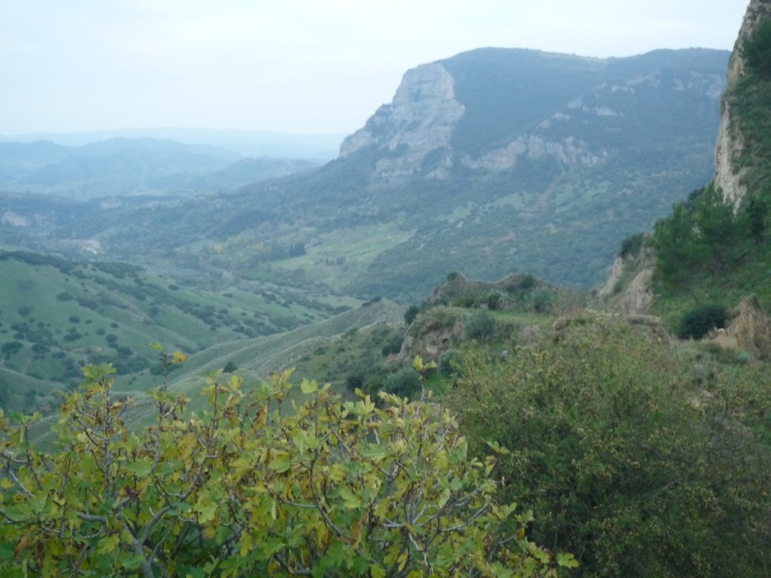 Image result for Abu Aqil LabÄ«d ibn RabÄ«'ah