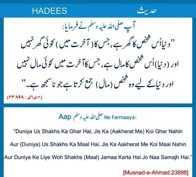 a523c3733a78aba21d47ca63949219ca