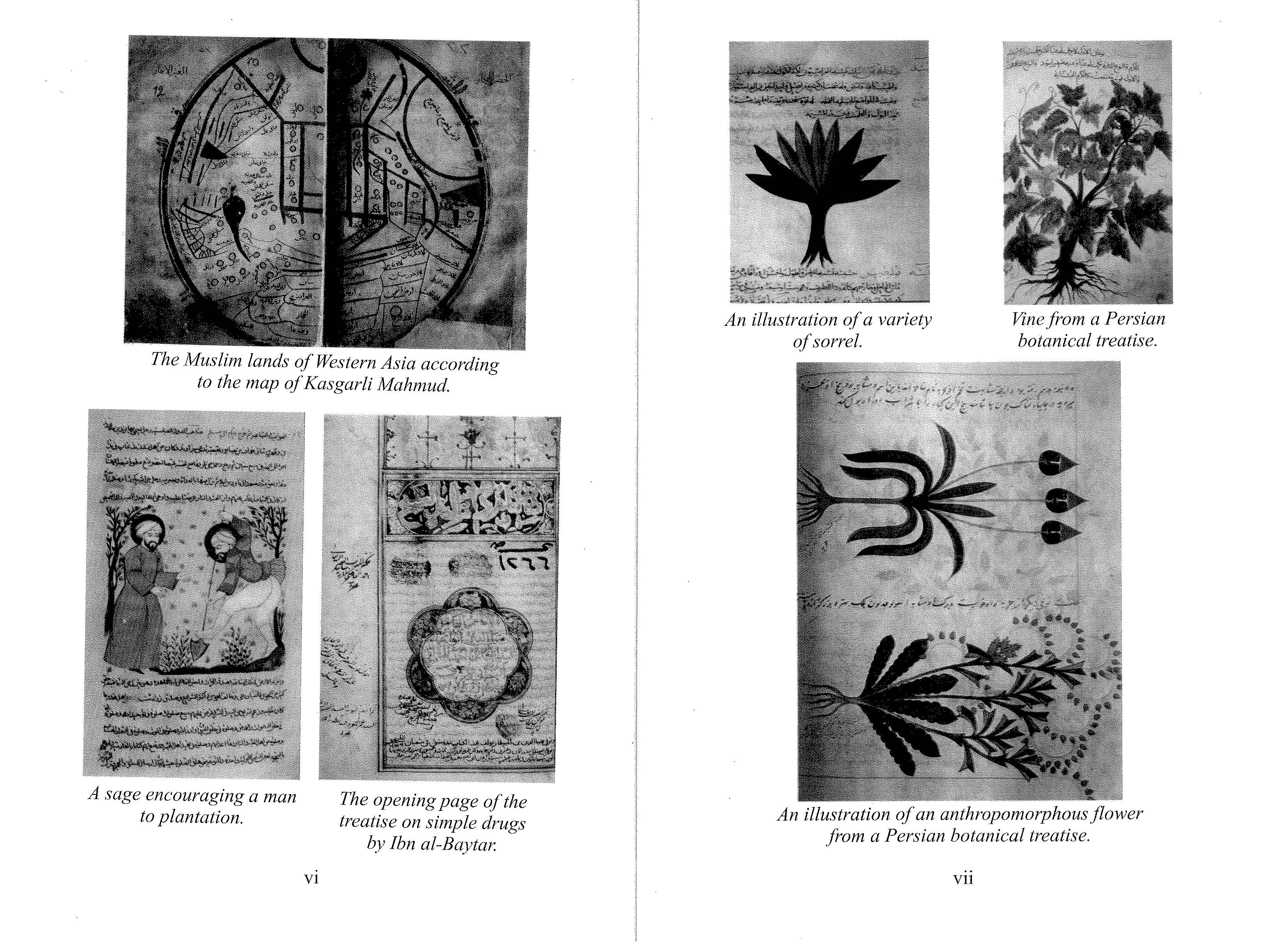 The Muslim Scientists By Mohammad Yasin Owadally_Page_06