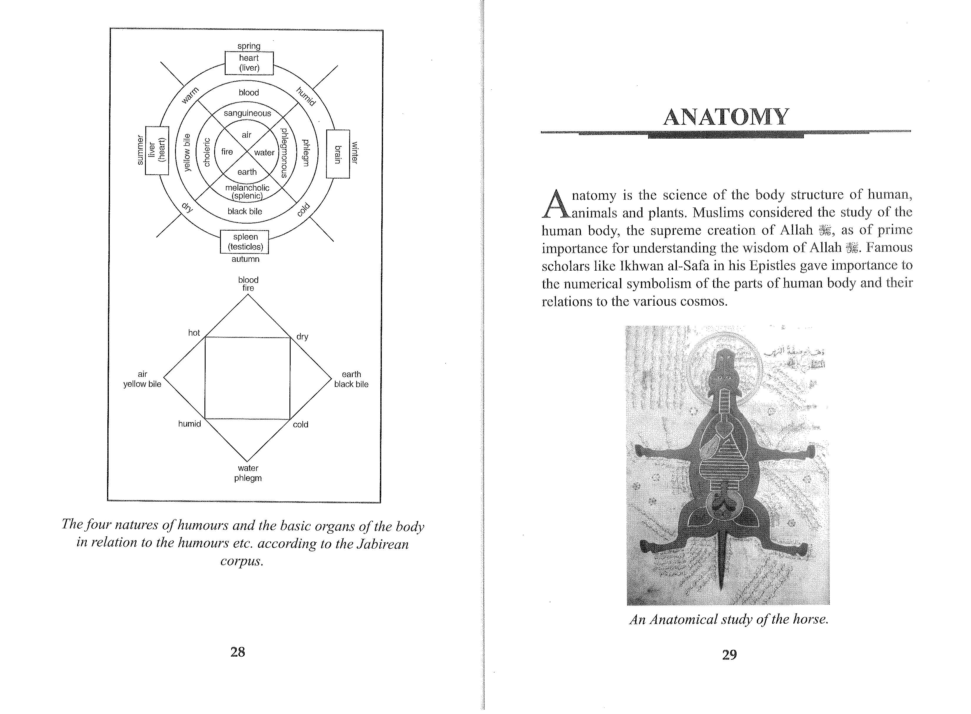 The Muslim Scientists By Mohammad Yasin Owadally_Page_24