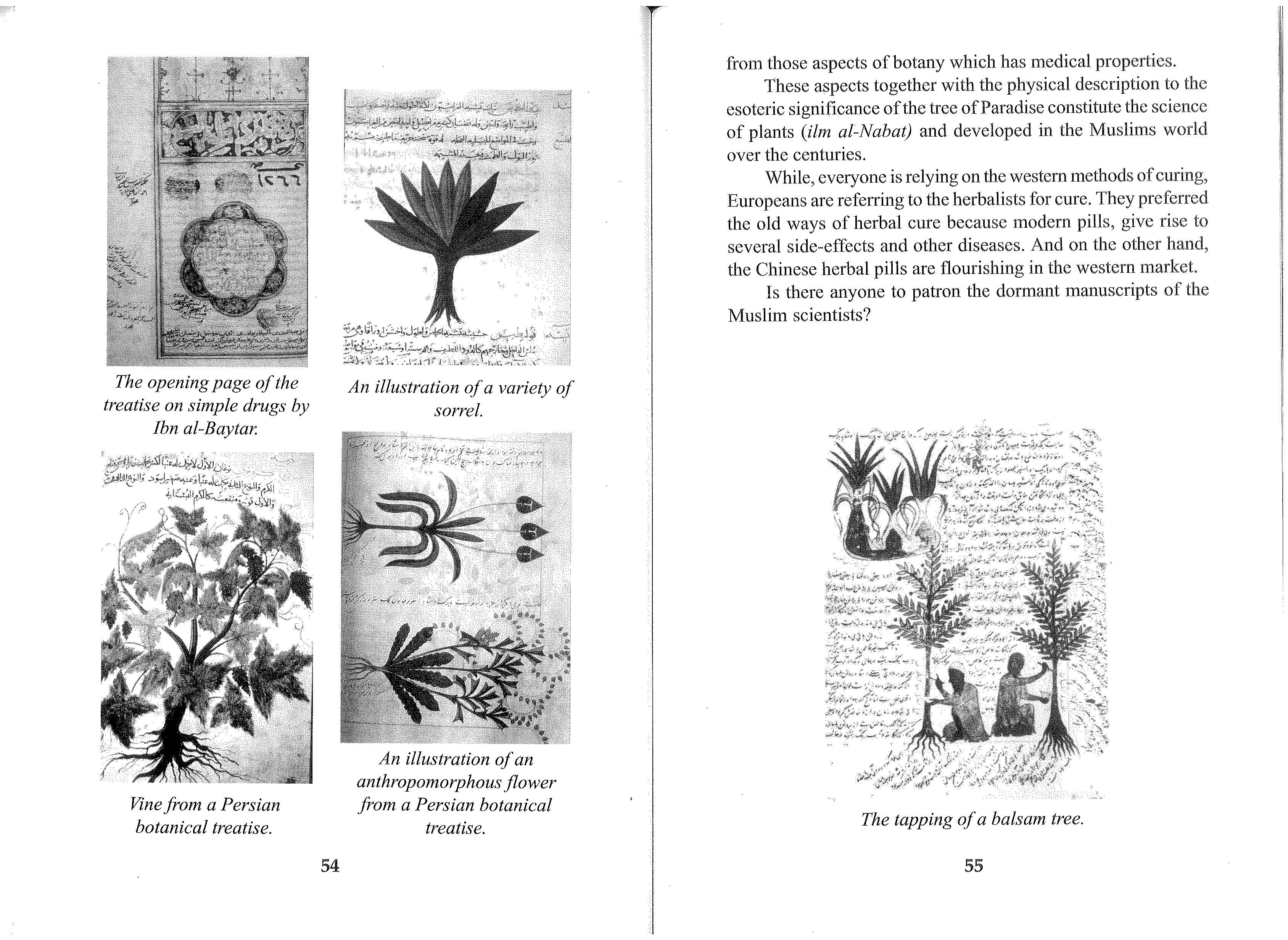 The Muslim Scientists By Mohammad Yasin Owadally_Page_37