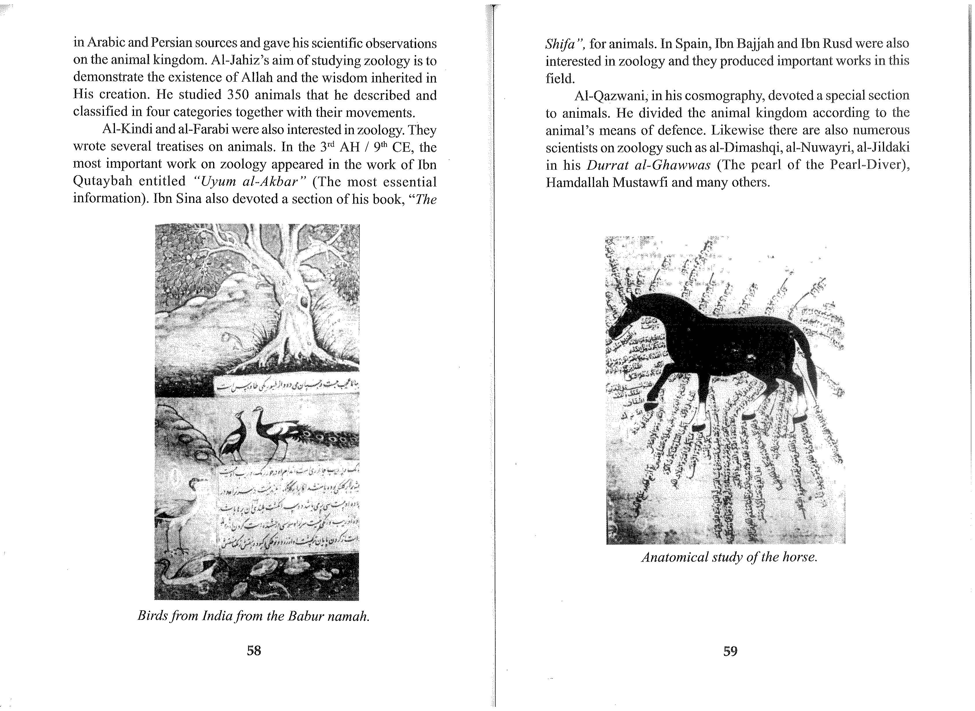 The Muslim Scientists By Mohammad Yasin Owadally_Page_39