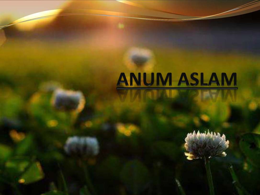 tibenabawi1-140330103317-phpapp01_Page_04