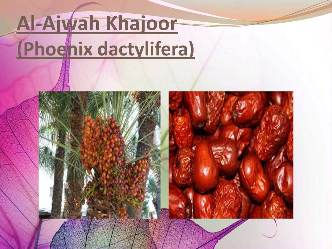 tibenabawi1-140330103317-phpapp01_Page_06