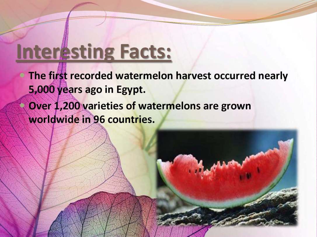 tibenabawi1-140330103317-phpapp01_Page_24