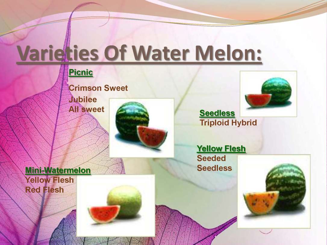 tibenabawi1-140330103317-phpapp01_Page_25