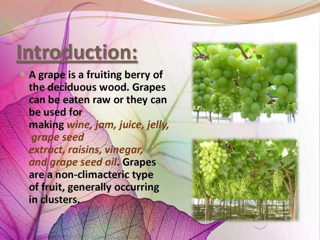 tibenabawi1-140330103317-phpapp01_Page_33