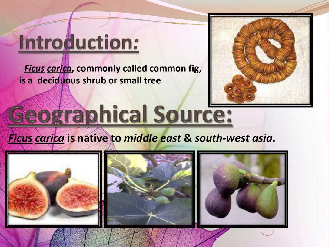 tibenabawi1-140330103317-phpapp01_Page_41