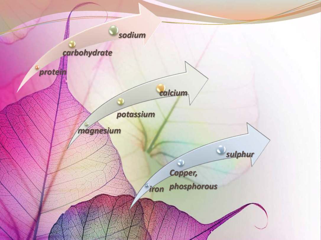 tibenabawi1-140330103317-phpapp01_Page_43