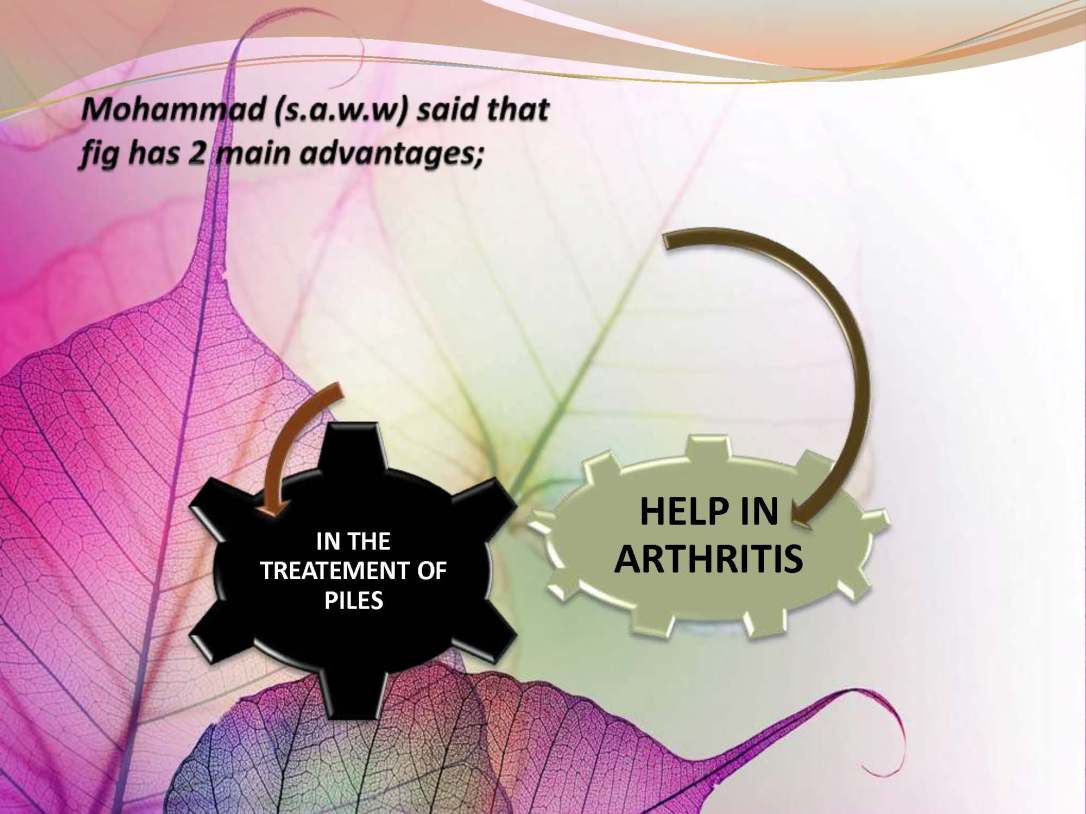 tibenabawi1-140330103317-phpapp01_Page_45