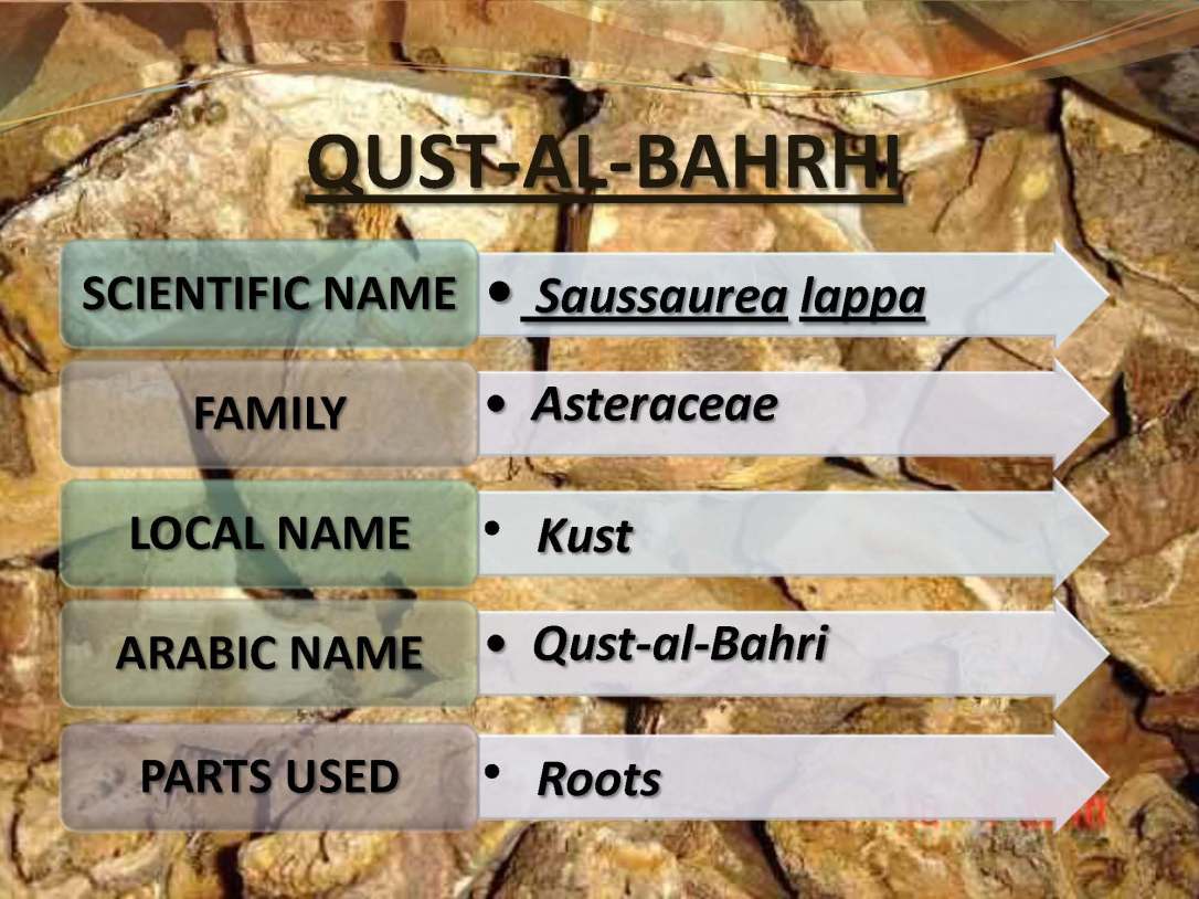 tibenabawi1-140330103317-phpapp01_Page_60