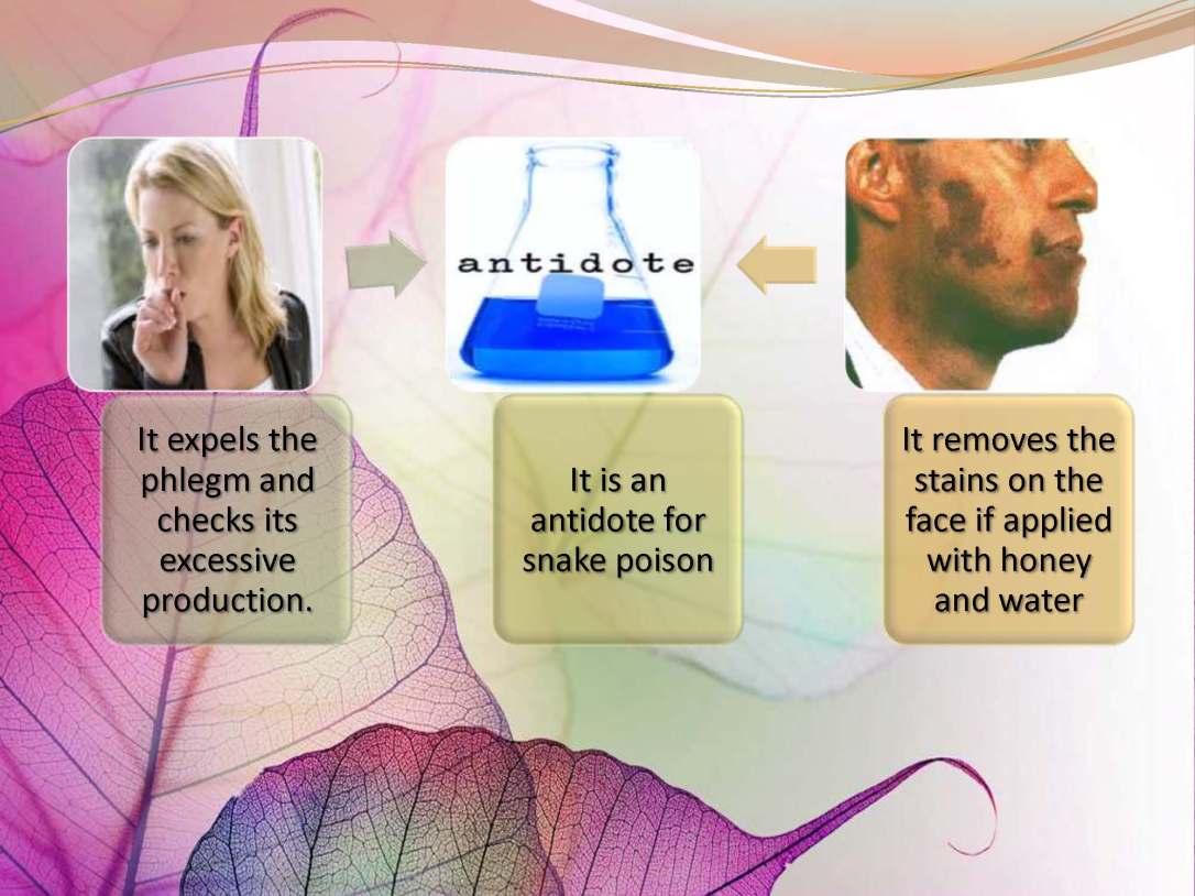 tibenabawi1-140330103317-phpapp01_Page_66