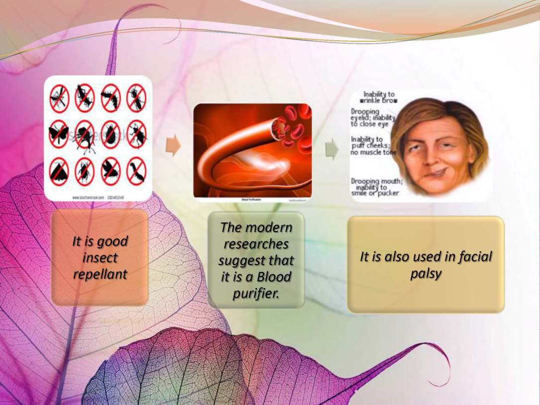 tibenabawi1-140330103317-phpapp01_Page_67