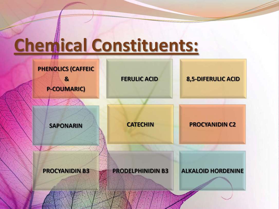 tibenabawi1-140330103317-phpapp01_Page_83