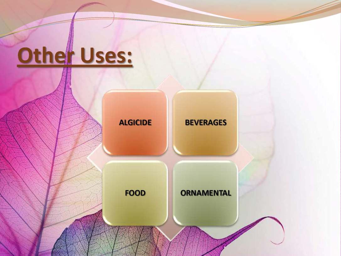 tibenabawi1-140330103317-phpapp01_Page_87