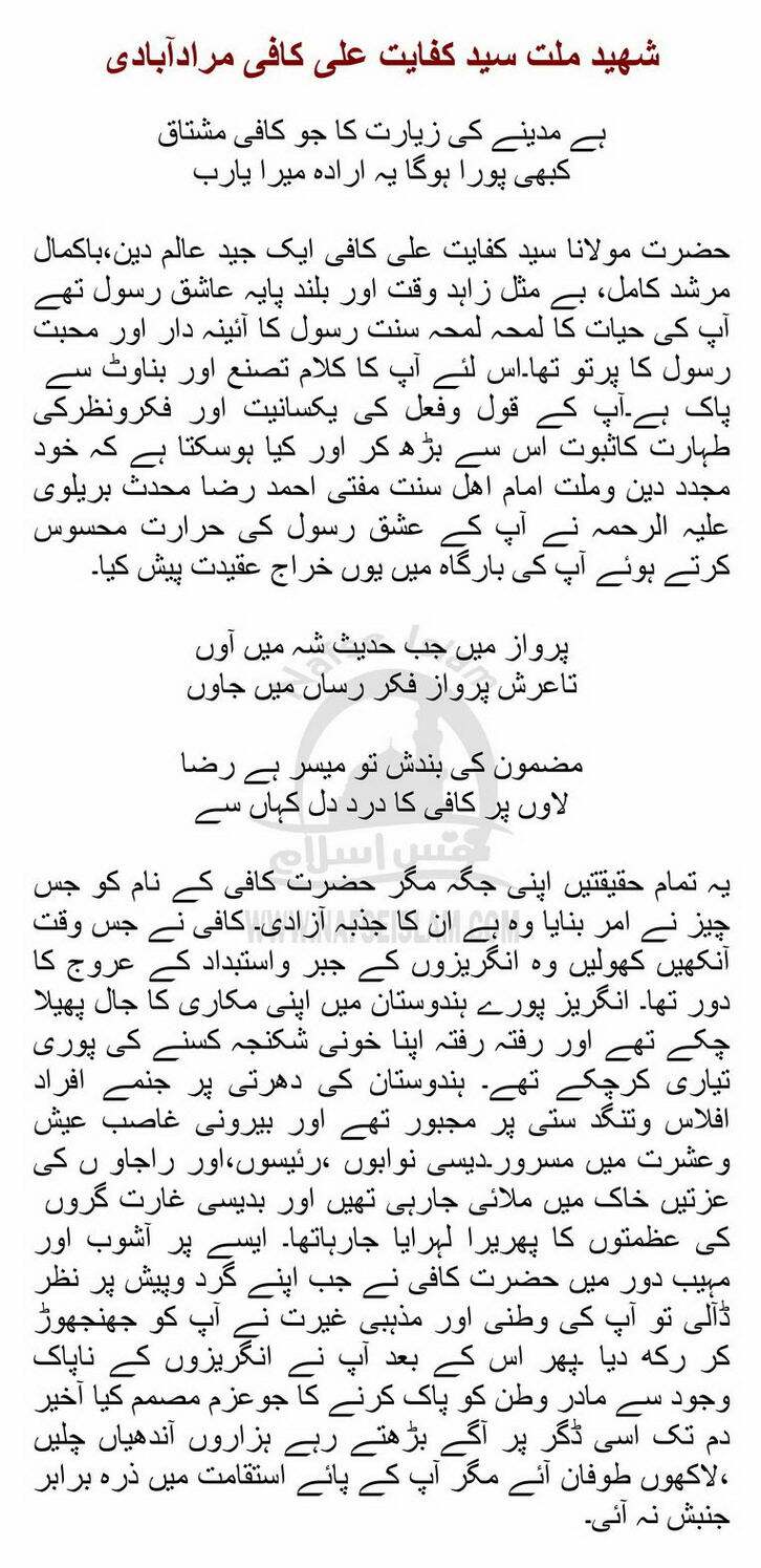 ShahideMillatSyed_Page_2