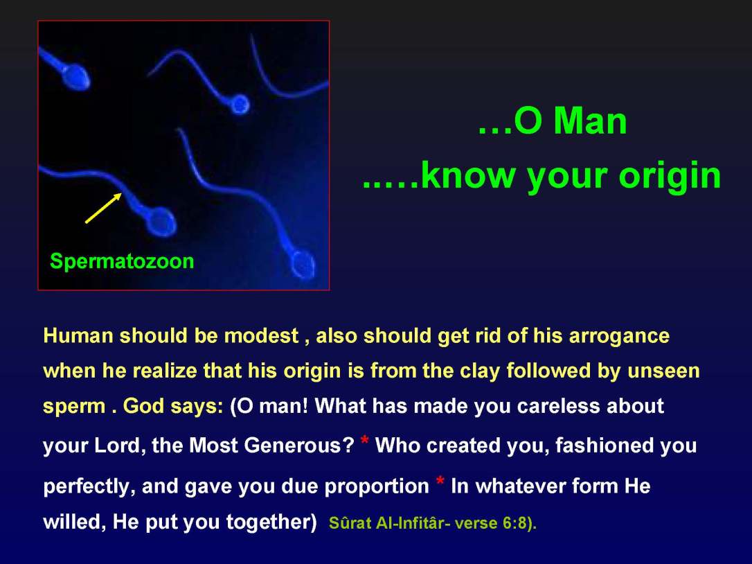 creationofhumananebmofwhatwritten1431yearagoinquran-100827064353-phpapp01_Page_07