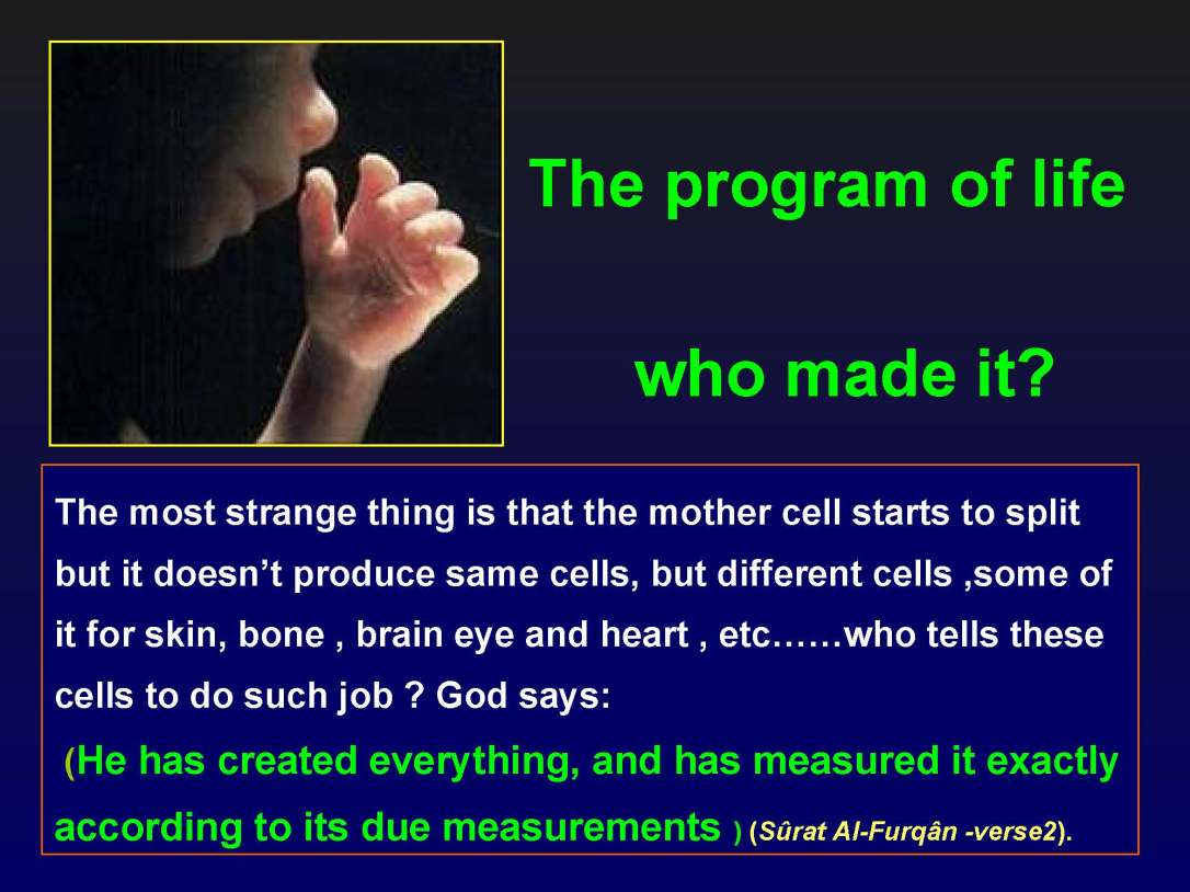 creationofhumananebmofwhatwritten1431yearagoinquran-100827064353-phpapp01_Page_09