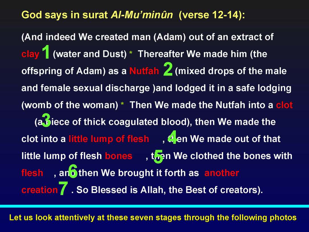 creationofhumananebmofwhatwritten1431yearagoinquran-100827064353-phpapp01_Page_11