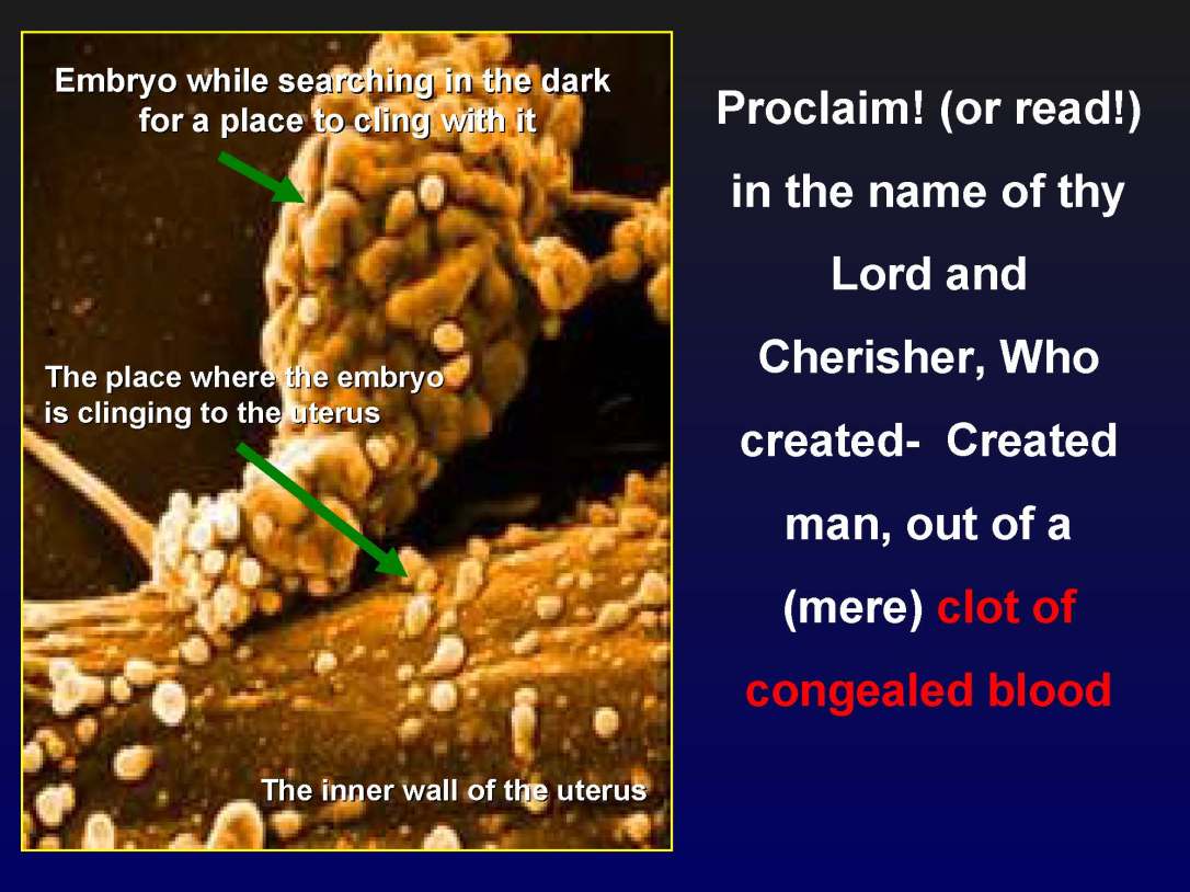 creationofhumananebmofwhatwritten1431yearagoinquran-100827064353-phpapp01_Page_22