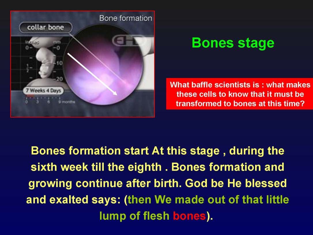creationofhumananebmofwhatwritten1431yearagoinquran-100827064353-phpapp01_Page_29