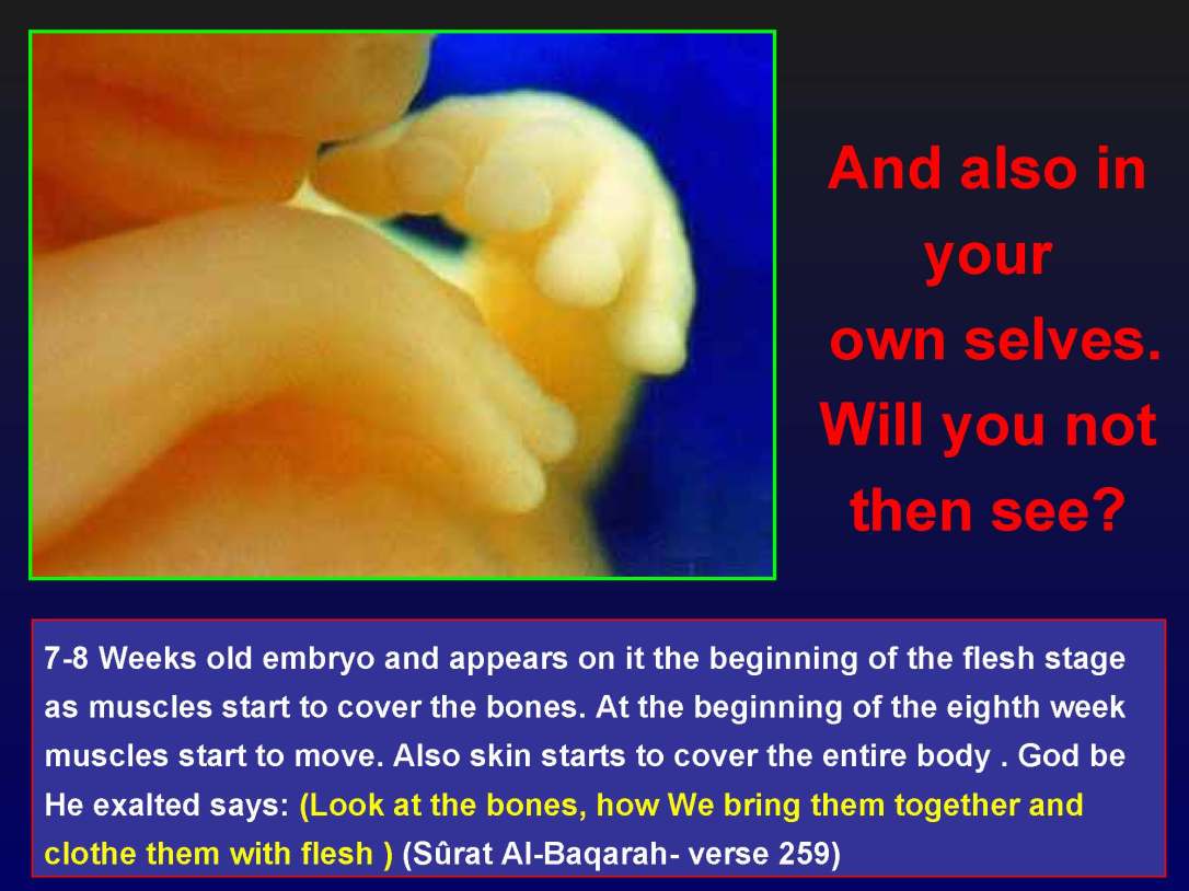 creationofhumananebmofwhatwritten1431yearagoinquran-100827064353-phpapp01_Page_32