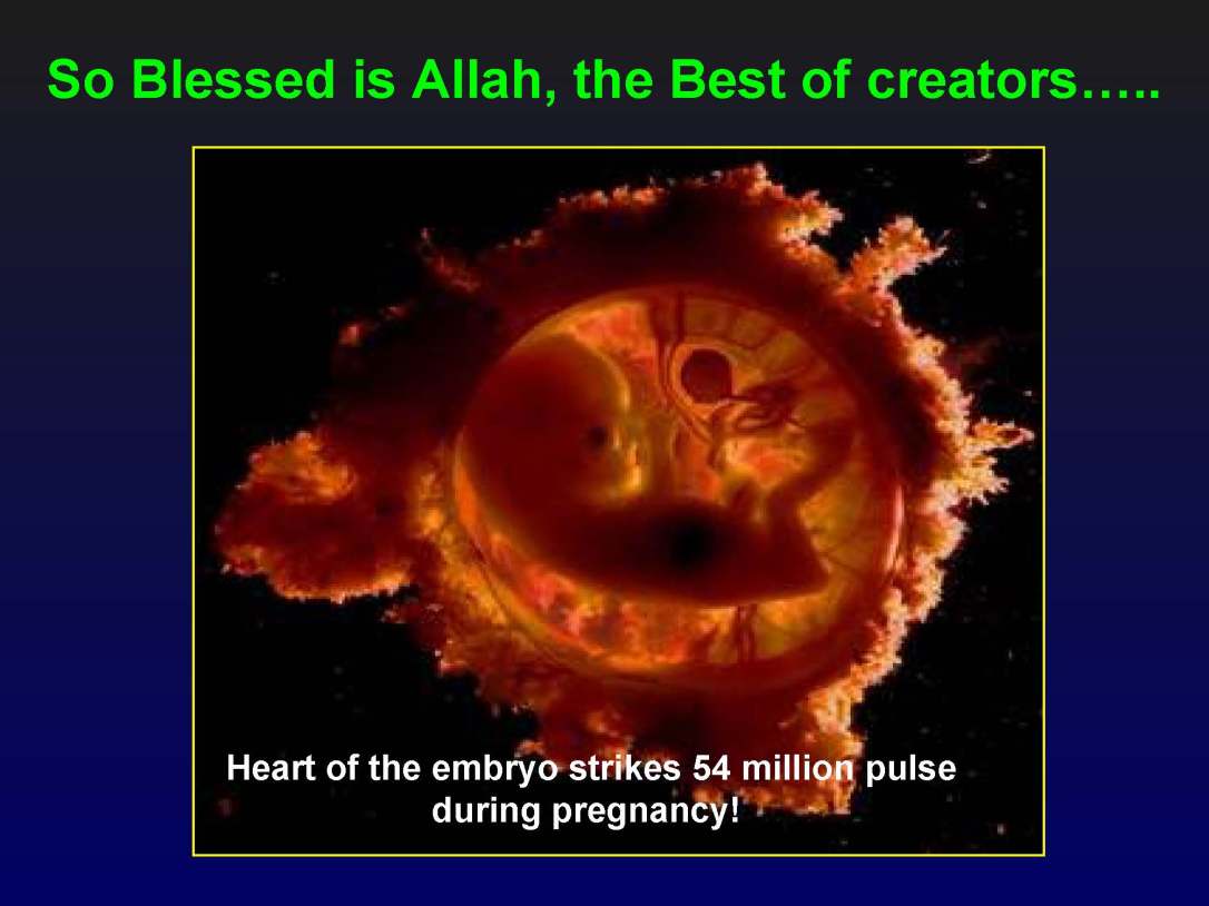 creationofhumananebmofwhatwritten1431yearagoinquran-100827064353-phpapp01_Page_36