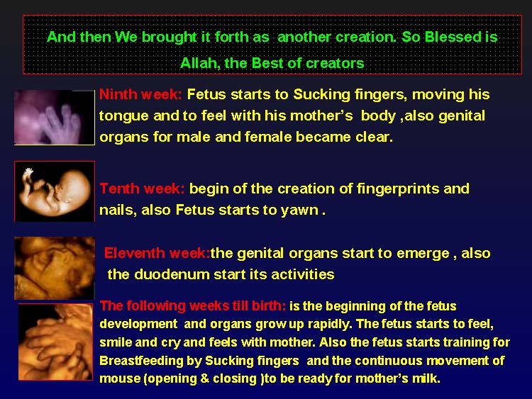 creationofhumananebmofwhatwritten1431yearagoinquran-100827064353-phpapp01_Page_37