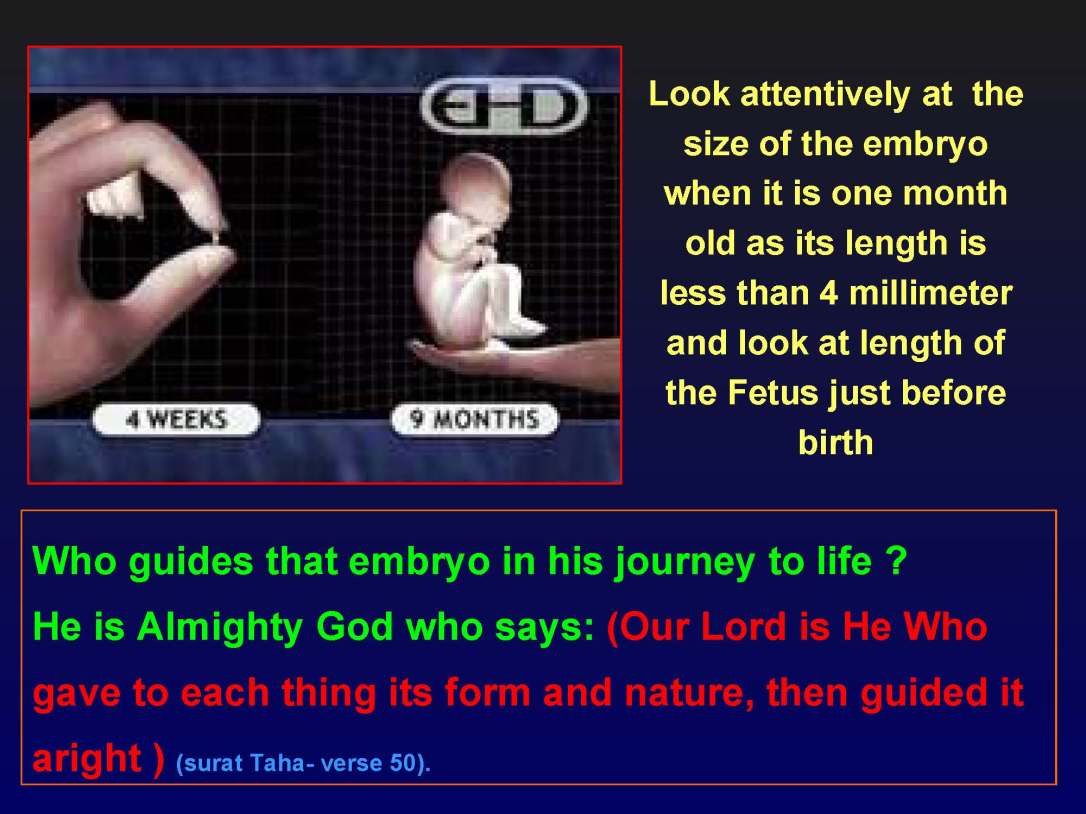 creationofhumananebmofwhatwritten1431yearagoinquran-100827064353-phpapp01_Page_40