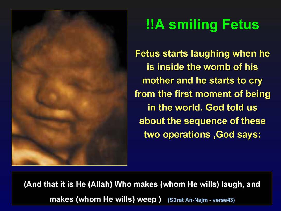 creationofhumananebmofwhatwritten1431yearagoinquran-100827064353-phpapp01_Page_45