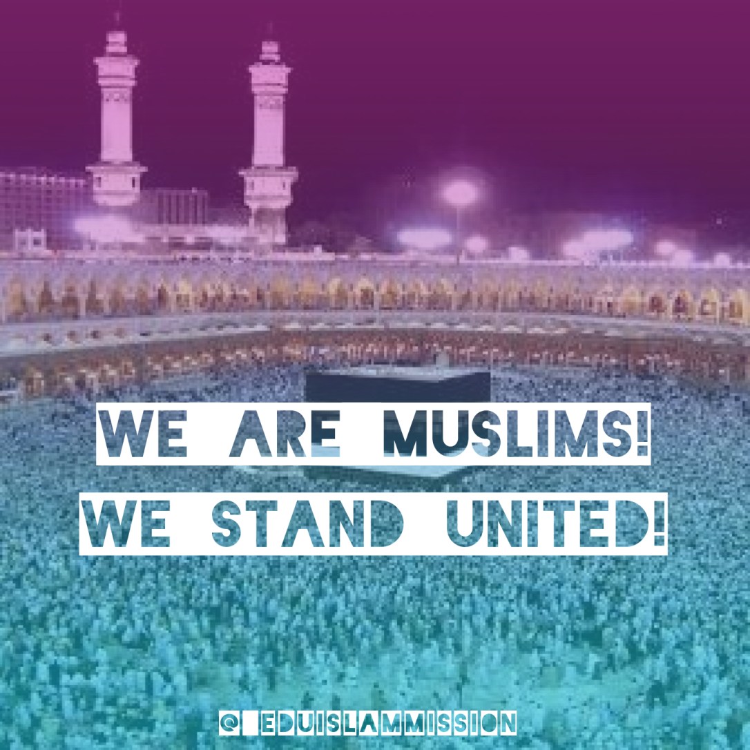 Image result for muslim divided into sect