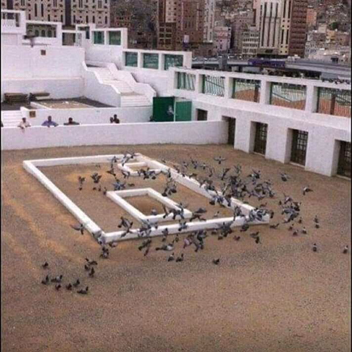 WhatsApp Image 2019-05-16 at 12.52.35 PM