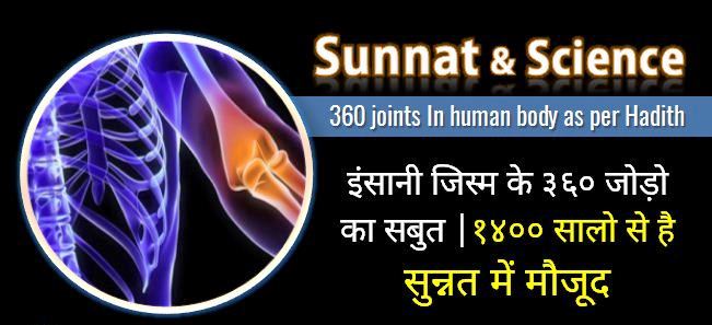 360-joints-In-human-body-as-per-Hadith
