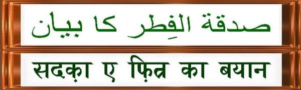 4137d3d3-6509-42b7-82f2-dd24306d5343