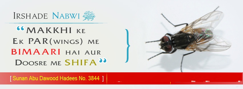 Antidote-in-the-Wing