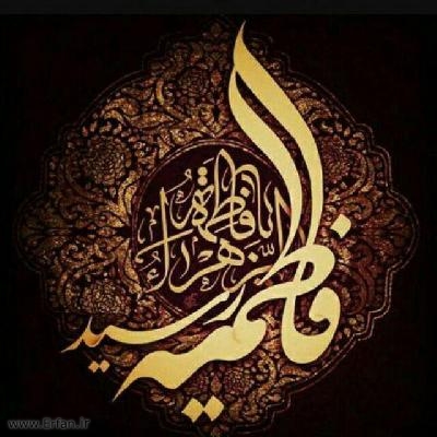 120572_photo_2018-01-31_01-12-54