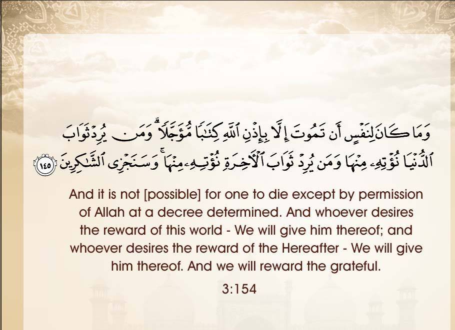 17690602_1926000147636640_1853454957_n