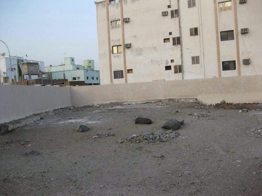 65047275_2302732066723030_8999420162729836544_n