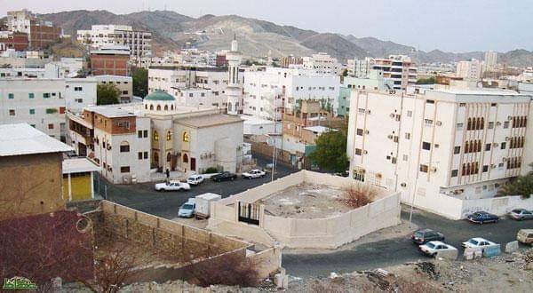 65248821_2302732033389700_6472145325682327552_n