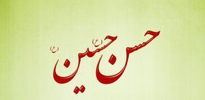 capturehassan-and-husainas