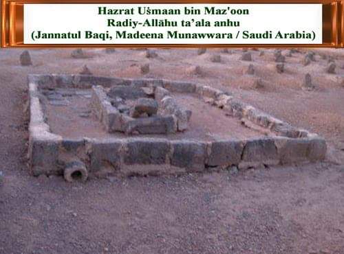 WhatsApp Image 2019-08-29 at 6.05.22 AM