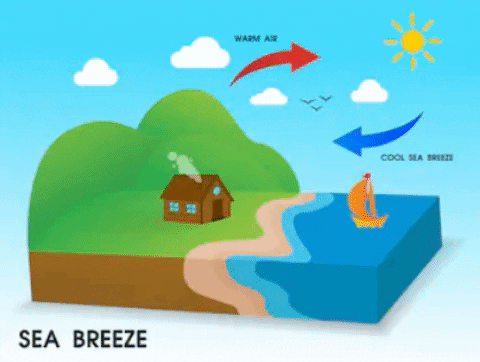 sea_breeze