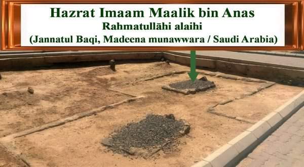 WhatsApp Image 2019-09-14 at 6.32.52 AM