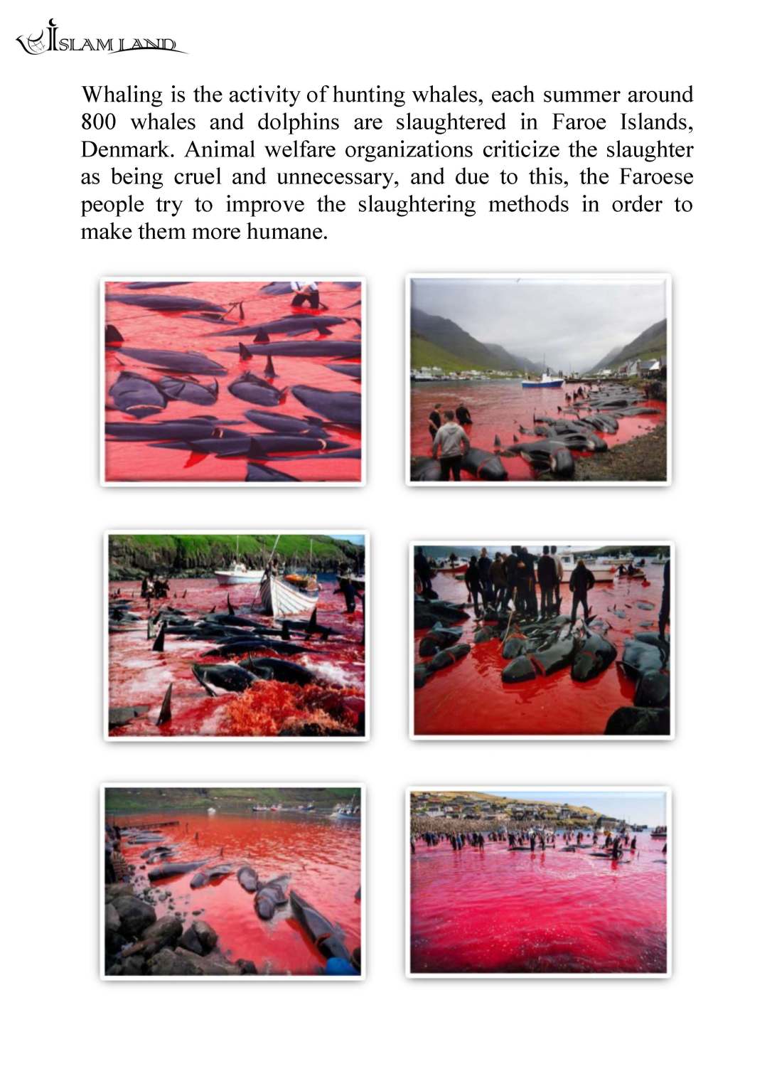 en_ANIMAL_RIGHTS_IN_ISLAMIC_CHRISTIAN_AND_JEWISH_SHARIA_LAW_Page_25