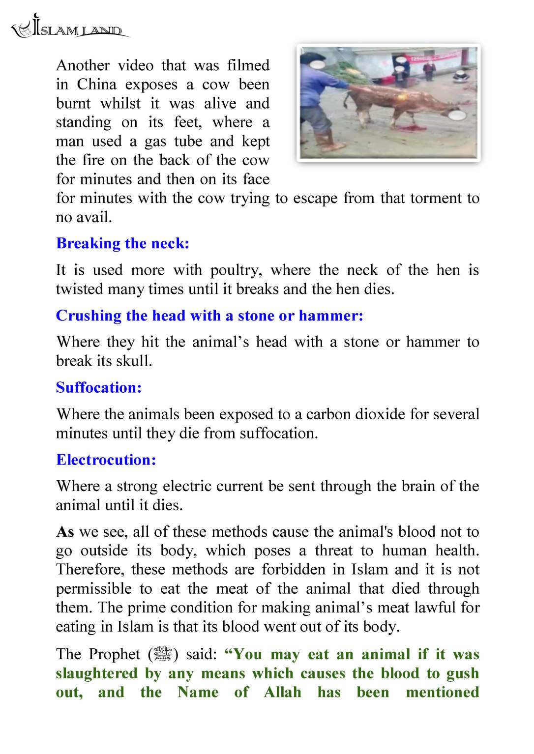 en_ANIMAL_RIGHTS_IN_ISLAMIC_CHRISTIAN_AND_JEWISH_SHARIA_LAW_Page_36
