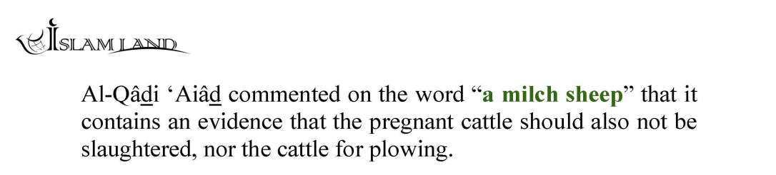 en_ANIMAL_RIGHTS_IN_ISLAMIC_CHRISTIAN_AND_JEWISH_SHARIA_LAW_Page_44