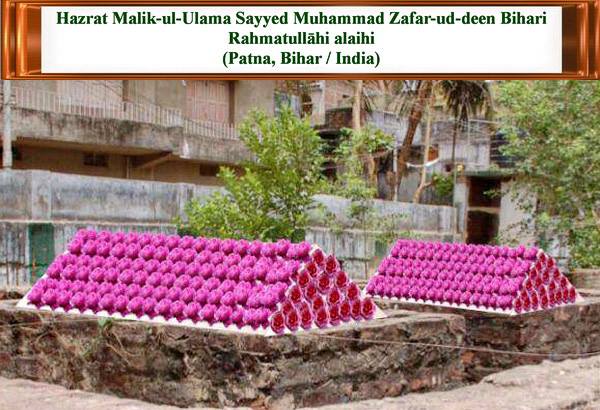 52637251_1518034321664420_1332802968415633408_n