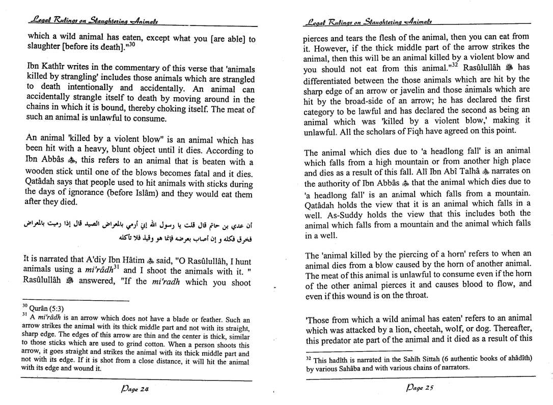 English-InIslamLegalRulingsOnSaughteredAnimal-MuftiTaqiUsmani_Page_13