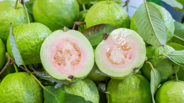 guava-benefits